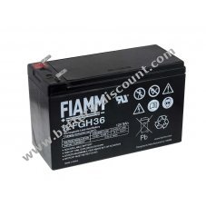 FIAMM Lead battery FGH20902 12FGH36 (high current resistant)
