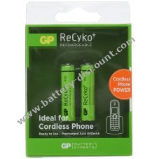 Battery for GP Micro AAA blister of 2 650mAh