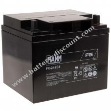FIAMM Rechargeable lead battery FG24204 Vds