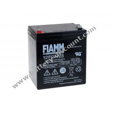 FIAMM Rechargeable lead battery 12FGH23 (stable to high current)