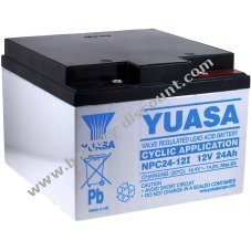 YUASA Rechargeable lead battery NPC24-12I (stable to cyclical tasks)