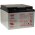 YUASA Rechargeable lead battery NP24-12I Vds